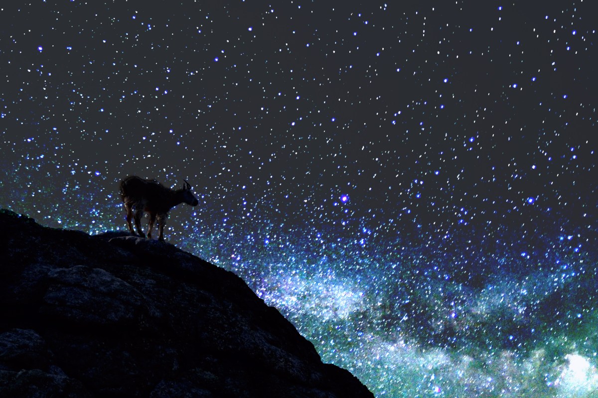 The Cursed Constellations