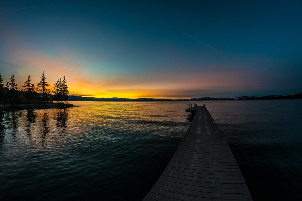 Death in the&nbsp;Morning